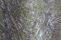 Bolton fibreglass roof work